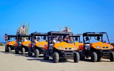 Aruba UTV Adventure: Animal Garden, North Coast & Andicuri (2026 Review & Booking Guide)
