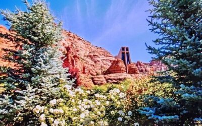 Sightseeing Highlights Tour of Sedona (2026 Review & Booking Guide)