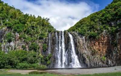 Best Tours & Experiences in Reunion Island