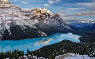 8 Iconic Stops. 12 Comfy Seats. See Banff’s Best in First (2026 Review & Booking Guide)