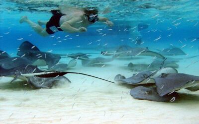 Grand Cayman Itinerary: The Perfect 3 Days