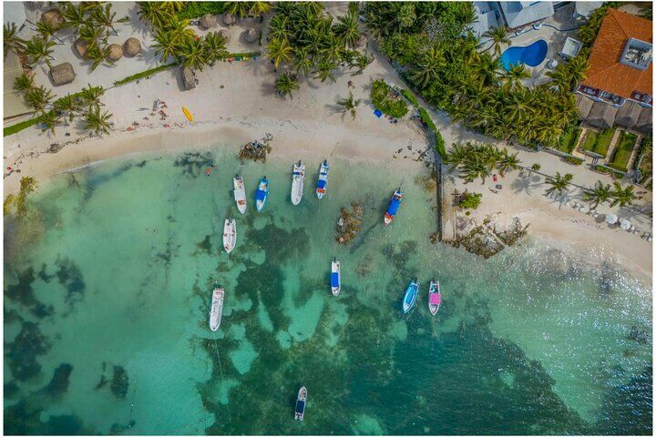 Tulum Ruins, Turtles in Akumal and Cenote tour (2026 Review & Booking Guide) 1 Tulum Ruins, Turtles in Akumal and Cenote tour in Tulum