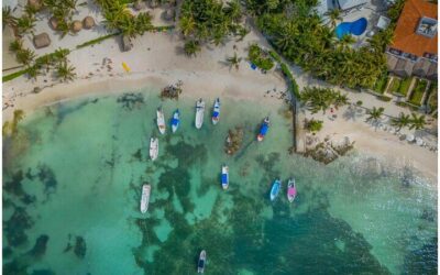 Best Tours in Tulum: Top Ways to Experience the City (2026)