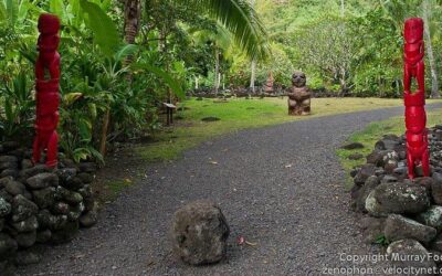 Best Tours & Experiences in Papeete