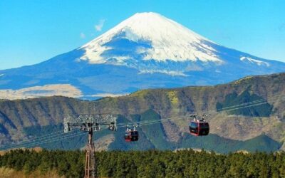 Best Tours & Experiences in Hakone