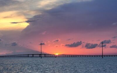 Best Things to Do in South Padre Island (2026): Top-Rated Tours & Experiences
