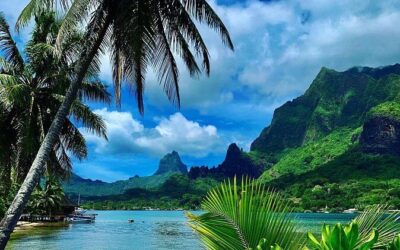 Best Tours & Experiences in Moorea