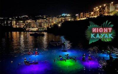 Best Things to Do in St Thomas (2026): Top-Rated Tours & Experiences