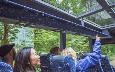 Best Tours & Experiences in Queenstown