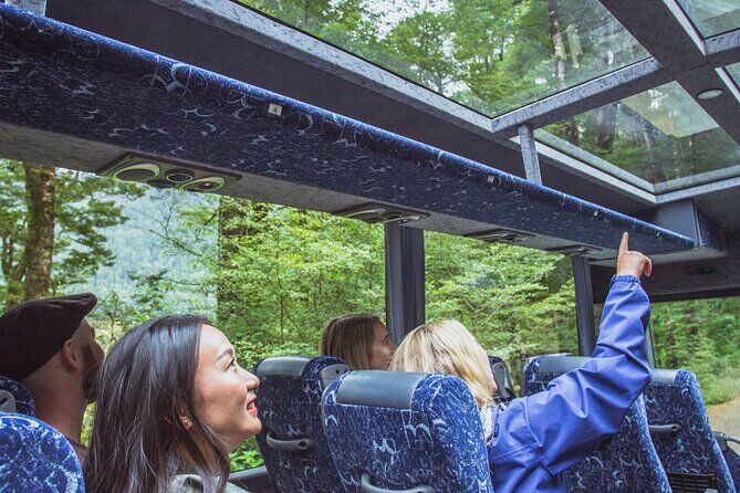 Mejores tours y experiencias en Queenstown