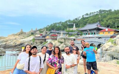 Busan Private Tour with Licensed Local guide (2026 Review & Booking Guide)
