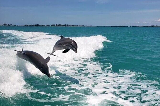 Best Tours & Experiences in Clearwater Beach Florida 20 89 5