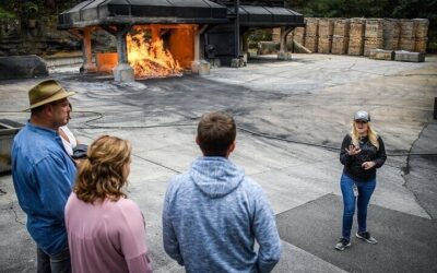 Jack Daniel’s Distillery Tour from Nashville + Whiskey (2026 Review & Booking Guide)