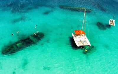 Best Tours & Experiences in Barbados