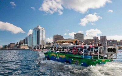 Best Things to Do in Halifax (2026): Top-Rated Tours & Experiences