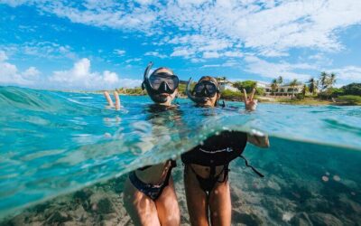 Morning Snorkel Sail with Premium Champagne Brunch (2026 Review & Booking Guide)