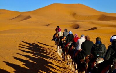 Best Tours & Experiences in Merzouga, Morocco