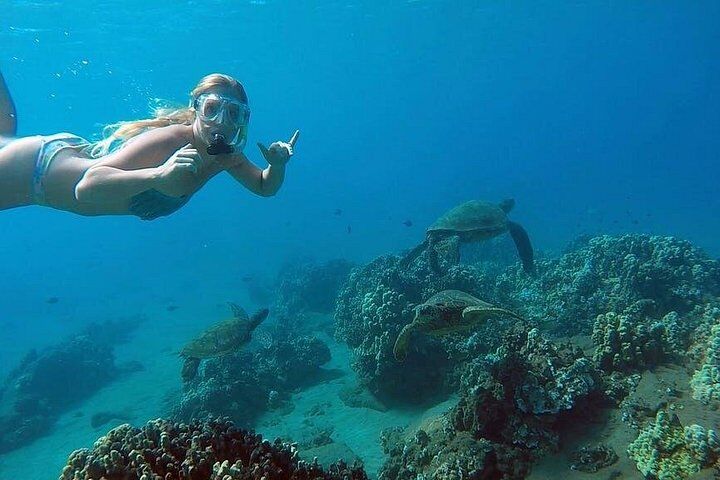 San Juan Guided Turtle Snorkel Tour and Complimentary Videos (2026 Review & Booking Guide) 1 San Juan Guided Turtle Snorkel Tour and Complimentary Videos in San Juan