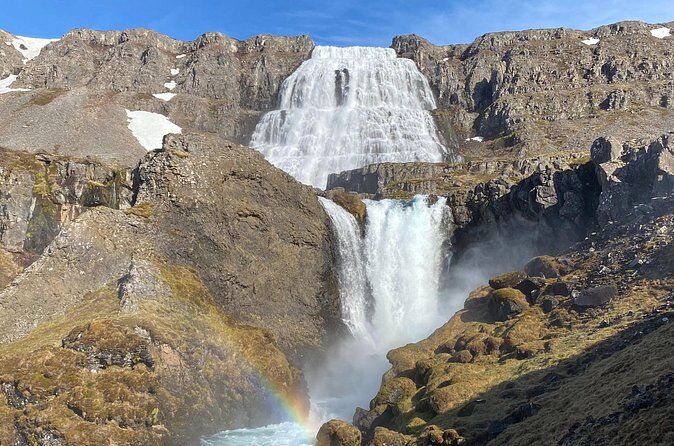 Best Tours & Experiences in Isafjordur Iceland 33 8e