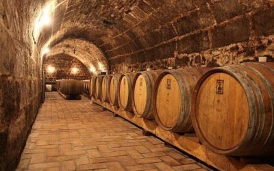 Countryside Half-day Gastro-Wine Tour from Budapest Meal (2026 Review & Booking Guide)