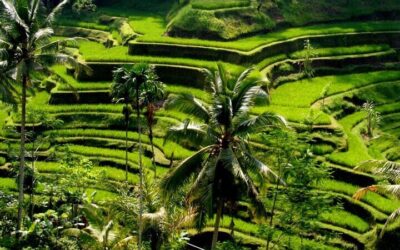 Best Day Trips from Seminyak (2026)