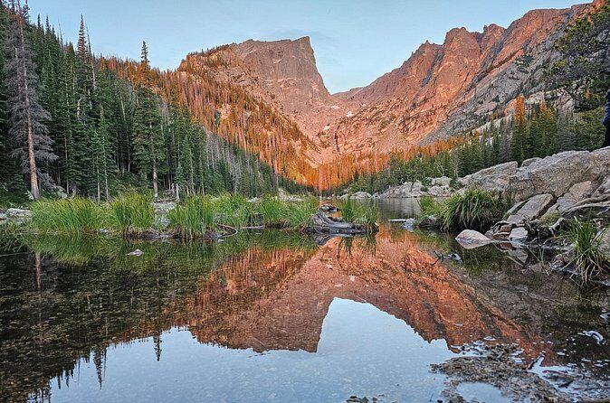 Hr Private Wildlife Hiking Tour in Rocky Mountain National Park