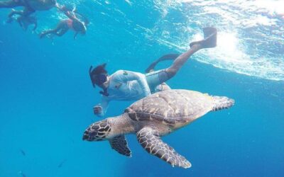 Cozumel Itinerary: The Perfect 3 Days