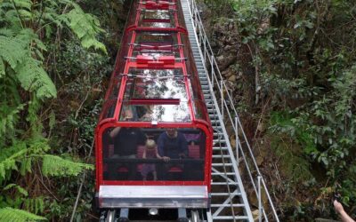 Blue Mountains Day Trip from Sydney Including Scenic World (2026 Review & Booking Guide)