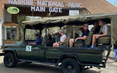 Nairobi National Park Tickets & How to Visit (2026 Guide)