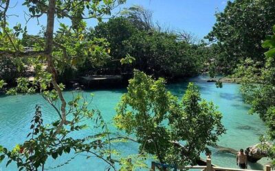 Best Tours & Experiences in Port Vila