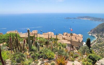 The Best of the French Riviera Small group Guided Tour (2026 Review & Booking Guide)