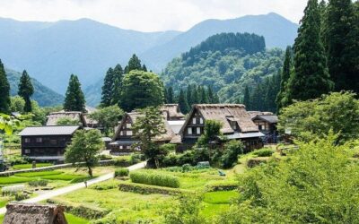 Best Tours & Experiences in Takayama