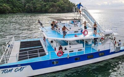 Manuel Antonio Canopy Tour – Longest Twin Zip Line in Central America (2026 Review & Booking Guide)
