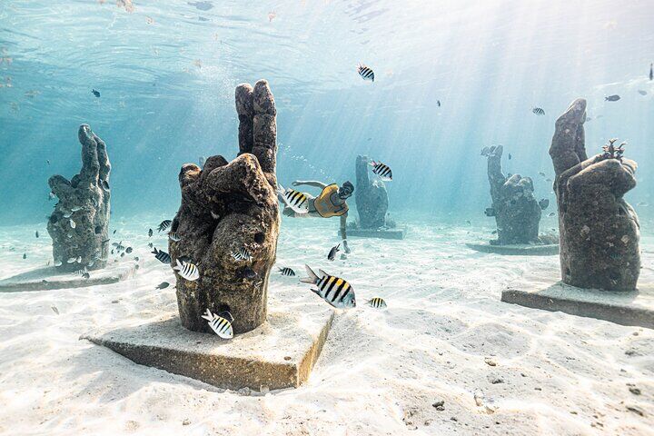Cancun City Pass: Go City Cancun All-Inclusive vs Pass Plus (Xcaret) vs Individual Tours — Worth It? (2026) 17 5-in-1 Cancun Snorkeling: Turtles, Reef, Musa, Shipwreck, Cenote