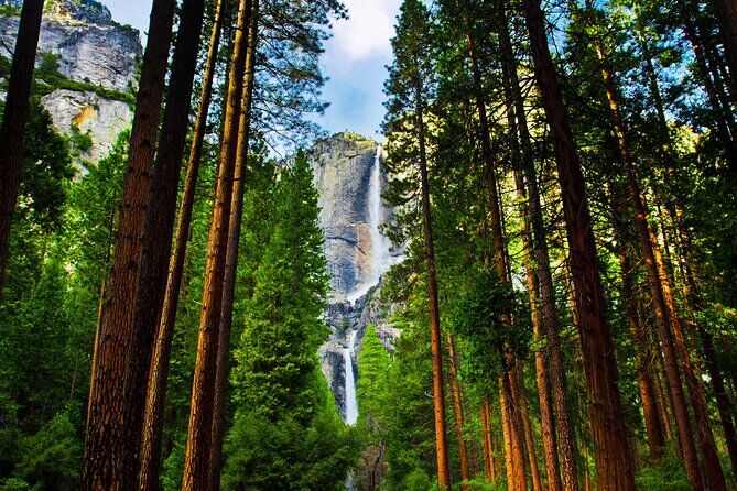 Best Tours & Experiences in Yosemite Valley 10 Yosemite Valley Custom Adventure Tour