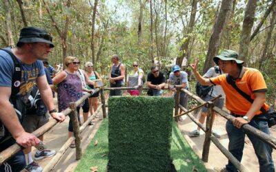 Best Tours in Ho Chi Minh City: Top Ways to Experience the City (2026)