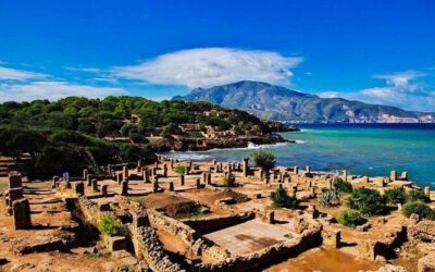 Best Tours & Experiences in Algiers