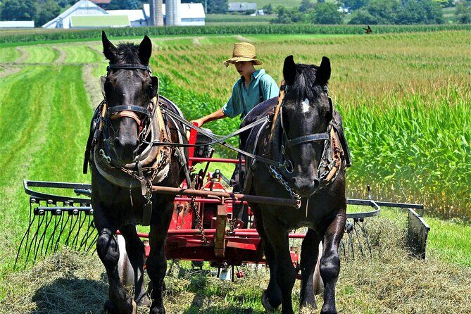 Migliori tour ed esperienze ad Amish Country in Ohio 19 Amish Farmlands Tour - Amish Country Ohio