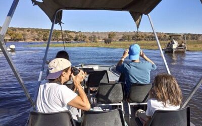 Best Tours & Experiences in Kasane