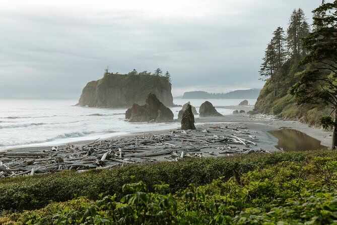 Olympic Two Day Private Tour and Hike - Olympic National Park