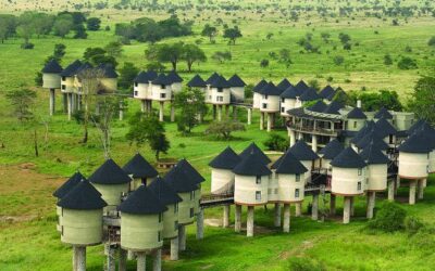 Best Tours & Experiences in Mombasa