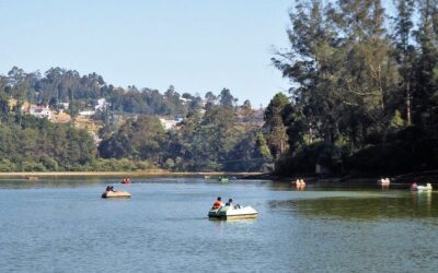 Best Tours & Experiences in Ooty