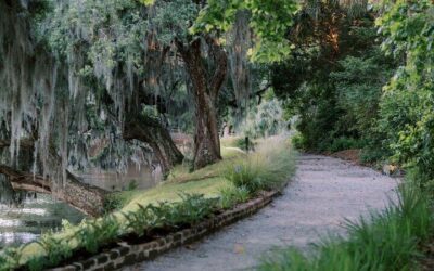 Charleston airport to Charleston City Center: Transfer Options (2026)