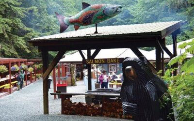 3.5 Hour Crowd-Skipping Whale Tour in Juneau, Alaska (2026 Review & Booking Guide)