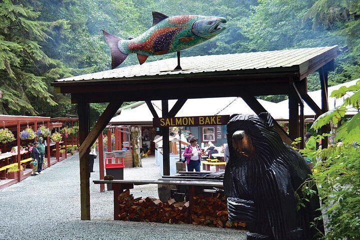 3.5 Hour Crowd-Skipping Whale Tour in Juneau, Alaska in Juneau
