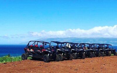 Road to Hana Adventure Maui Tour with Lunch (2026 Review & Booking Guide)