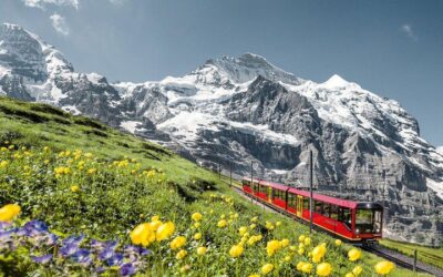 Jungfraujoch: Top of Europe Day Trip from Zurich (2026 Review & Booking Guide)
