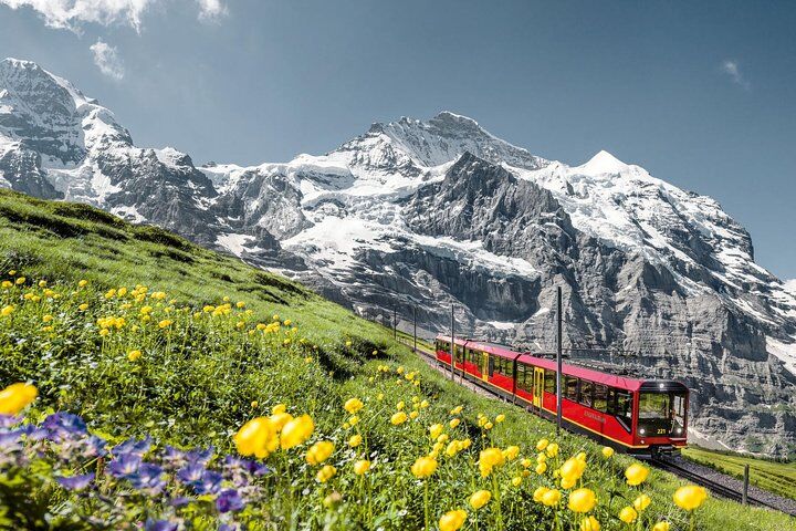 Jungfraujoch: Top of Europe Day Trip from Zurich in Zurich