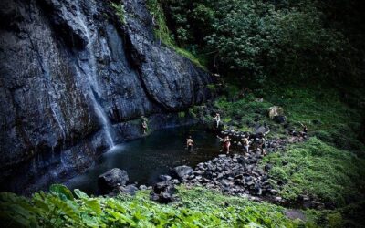Moorea 6-Hour Snorkeling and Lunch Shared Tour (2026 Review & Booking Guide)