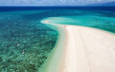 Best Tours & Experiences in Port Douglas